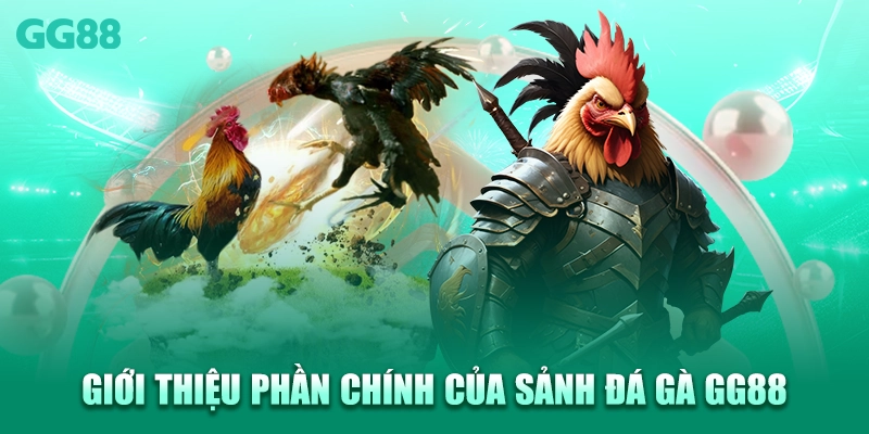 Giới thiệu phần chính của sảnh đá gà GG88