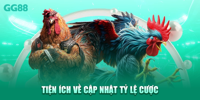 Tiện ích về cập nhật tỷ lệ cược