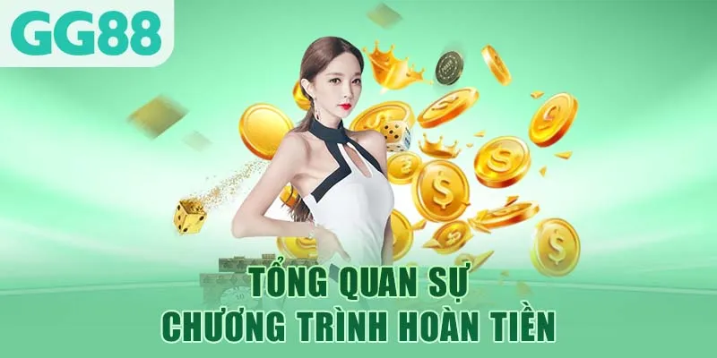 Tổng quan sự chương trình hoàn tiền